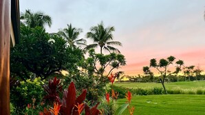 A lush garden with palm trees and tropical plants. - ‘26 Special! 2Bed/2Bath—BBQ/Hilton Pass/Walkable! (WAIKOLOA)