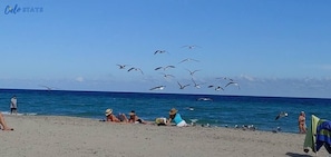 Na praia, toalhas de praia