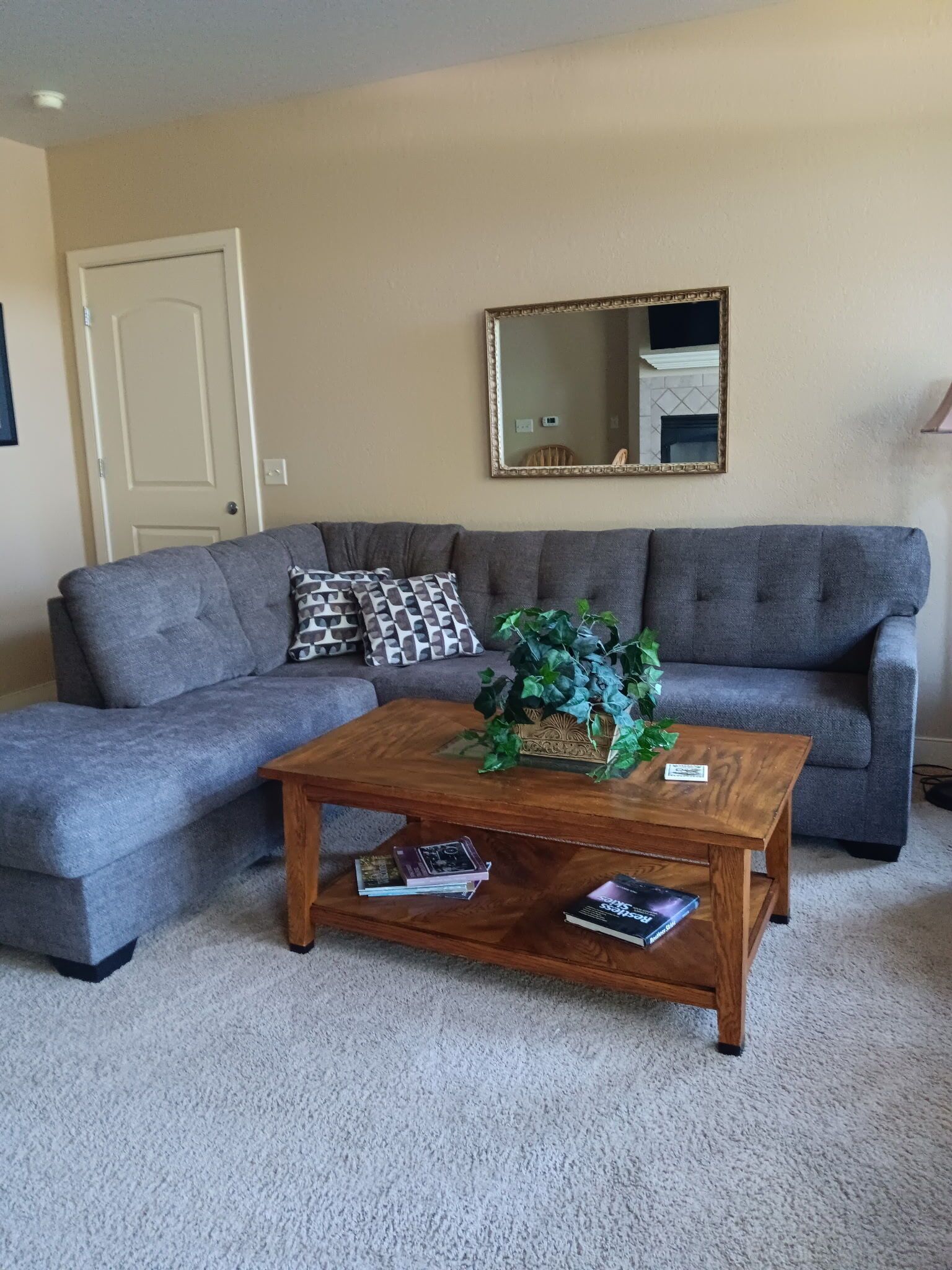A living room with a grey sectional sofa, a wooden coffee table with books, a potted plant, and a mirror on the wall.