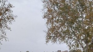 Photo non classée, 4 sur 14, bouton