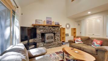 TV, fireplace, books