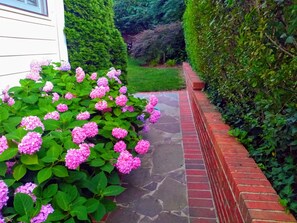 المنطقة المحيطة بالمنشأة