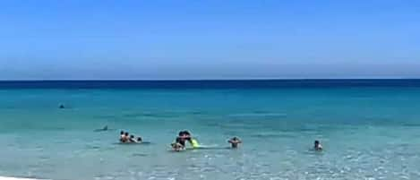 Una spiaggia nelle vicinanze