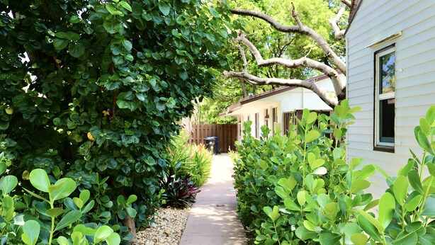 Un sentier étroit, bordé d’une végétation dense, mène à une maison dont on aperçoit une fenêtre et une porte.