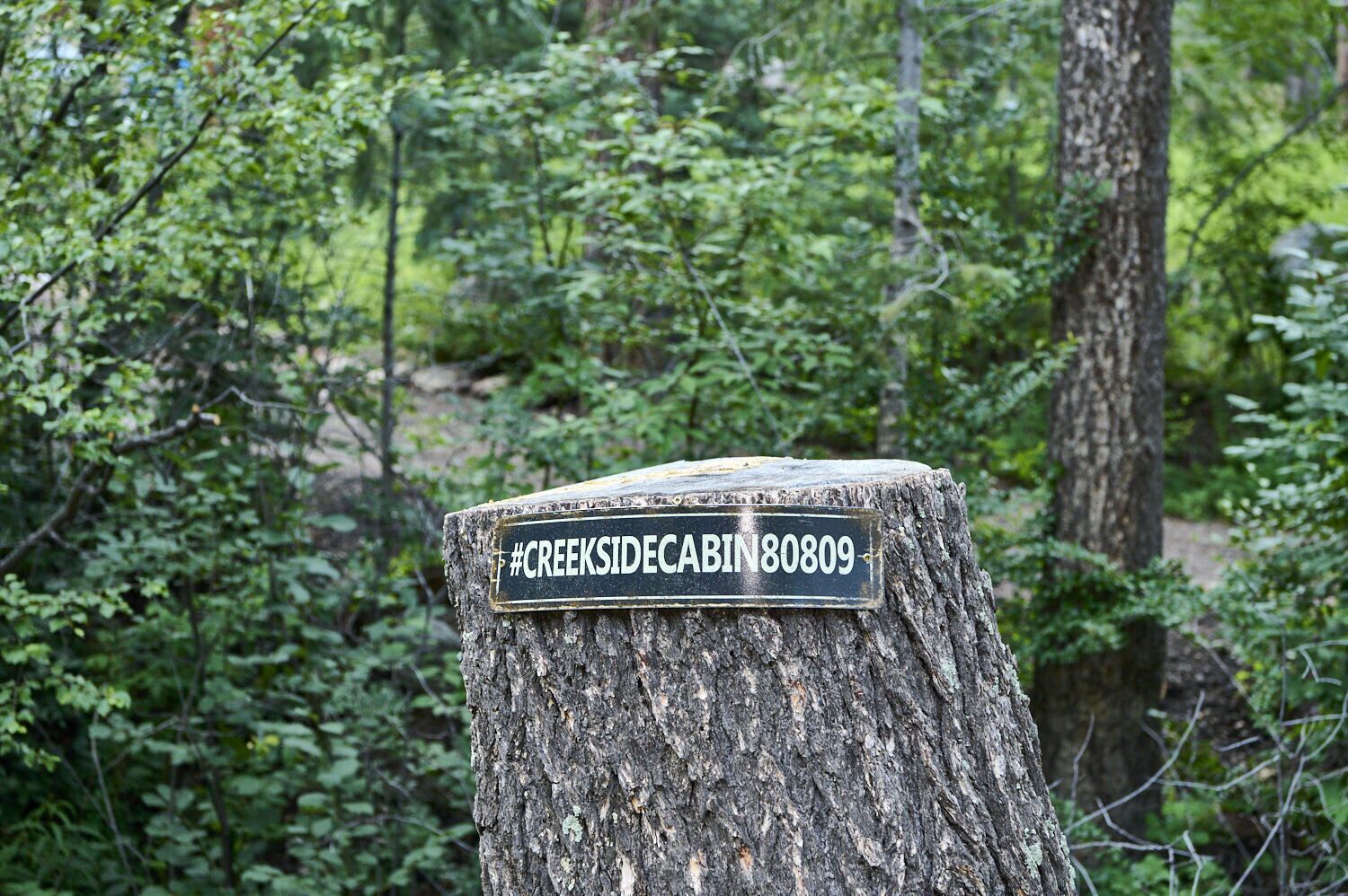 A wooden post with a sign that reads "#CREEKSIDECABIN80809" in a forested area.