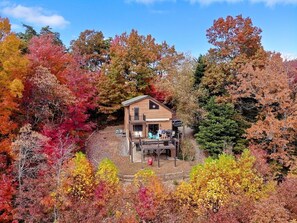 Exterior - Spectacular Mtn Views-Artfully Decorated. Inviting, Warm & Rustic. (Purlear)