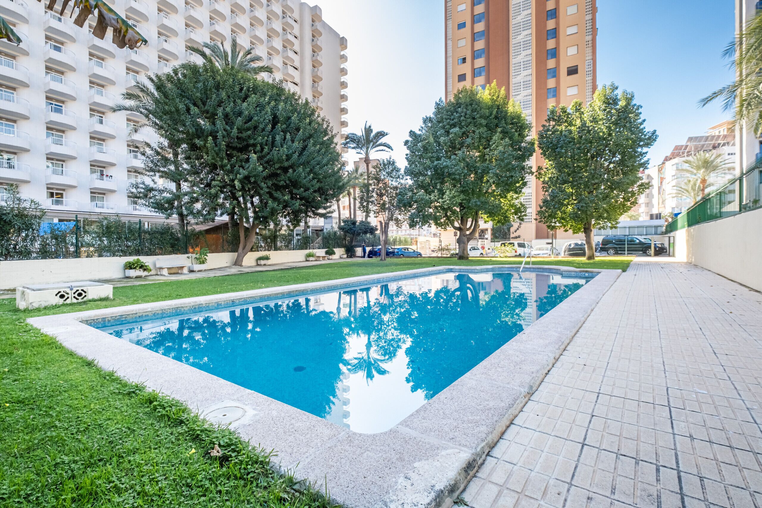 Una piscina rodeada de vegetación y edificios altos.