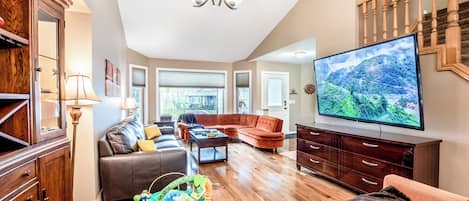 Smart TV, fireplace, DVD player, books