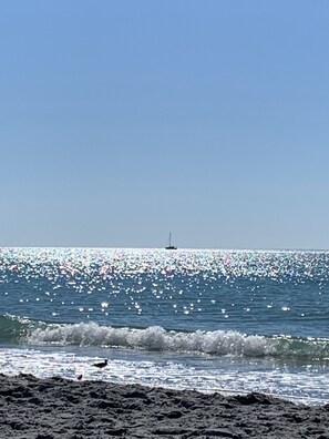 Playa en los alrededores y camastros 