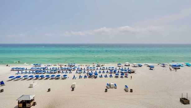 Une plage où de nombreux parasols bleus et des chaises longues sont disposés en rangées.