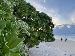 Beach/ocean view - Alafehi Retreat Luxury Villas with Pool Access (Fuvahmulah)