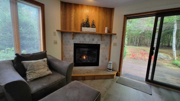 Una sala de estar con chimenea, un sofá y vistas al exterior.