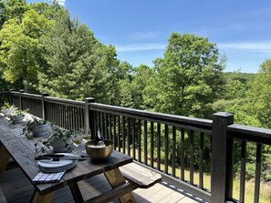 Outdoor dining - Family Friendly! Sunset + Mtn Views, Fire Pit, Hot Tub, Game Room - Golden TEE! (Morganton)