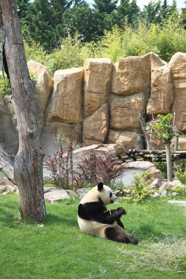 Jardines del alojamiento