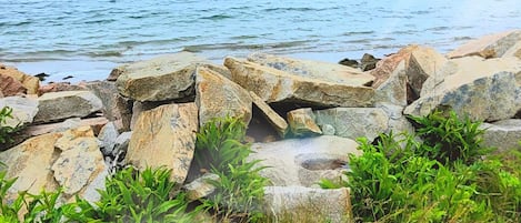 海滩