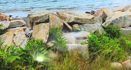 Spectacular Corea Harborside house minutes to Acadia National Park Schoodic Entry