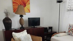 Una sala de estar con un sofá, una silla, un televisor y un jarrón decorativo.
