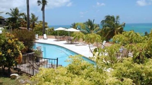 Zona de piscina con sillas reclinables y sombrillas, rodeada de palmeras y vista al océano.