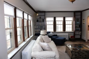 Smart TV, fireplace, books