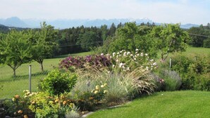Un jardin aménagé avec différentes plantes et fleurs, un champ herbeux et, au loin, une chaîne de montagnes.