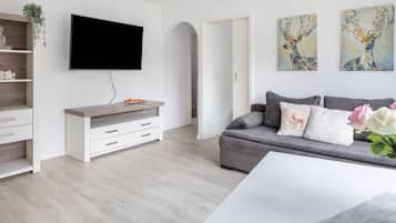 TV, DVD player, stereo