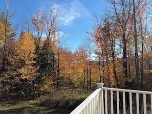 A forested area with a white railing, likely part of a property or park. - Okemo Family Friendly Getaway (Andover)