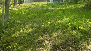 Une maison à deux étages, dotée d’un toit végétalisé, entourée d’arbres et d’herbe luxuriants.