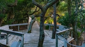 Property grounds - 1125 Beach Walker Sum (Fernandina Beach)