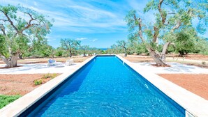 Ein rechteckiger Swimmingpool mit glasklar blauem Wasser, umgeben von einer weißen Poolterrasse und Bäumen.