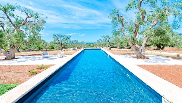 A rectangular swimming pool with a clear blue water surface, surrounded by a white pool deck and trees. - Villa "Fora" near the Sea with Pool, Wi-Fi, Garden & Terrace (Carovigno)