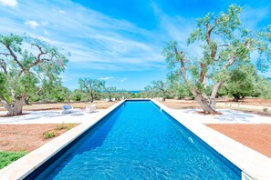 A rectangular swimming pool with a clear blue water surface, surrounded by a white pool deck and trees.