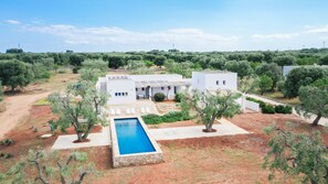 A modern villa with a swimming pool, surrounded by olive trees and a clear sky.