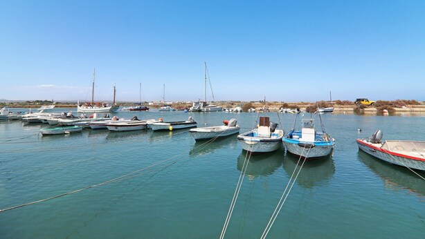 Un port de plaisance où sont amarrés différents types de bateaux.