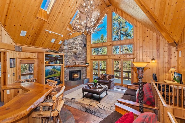 TV, fireplace, video games, DVD player