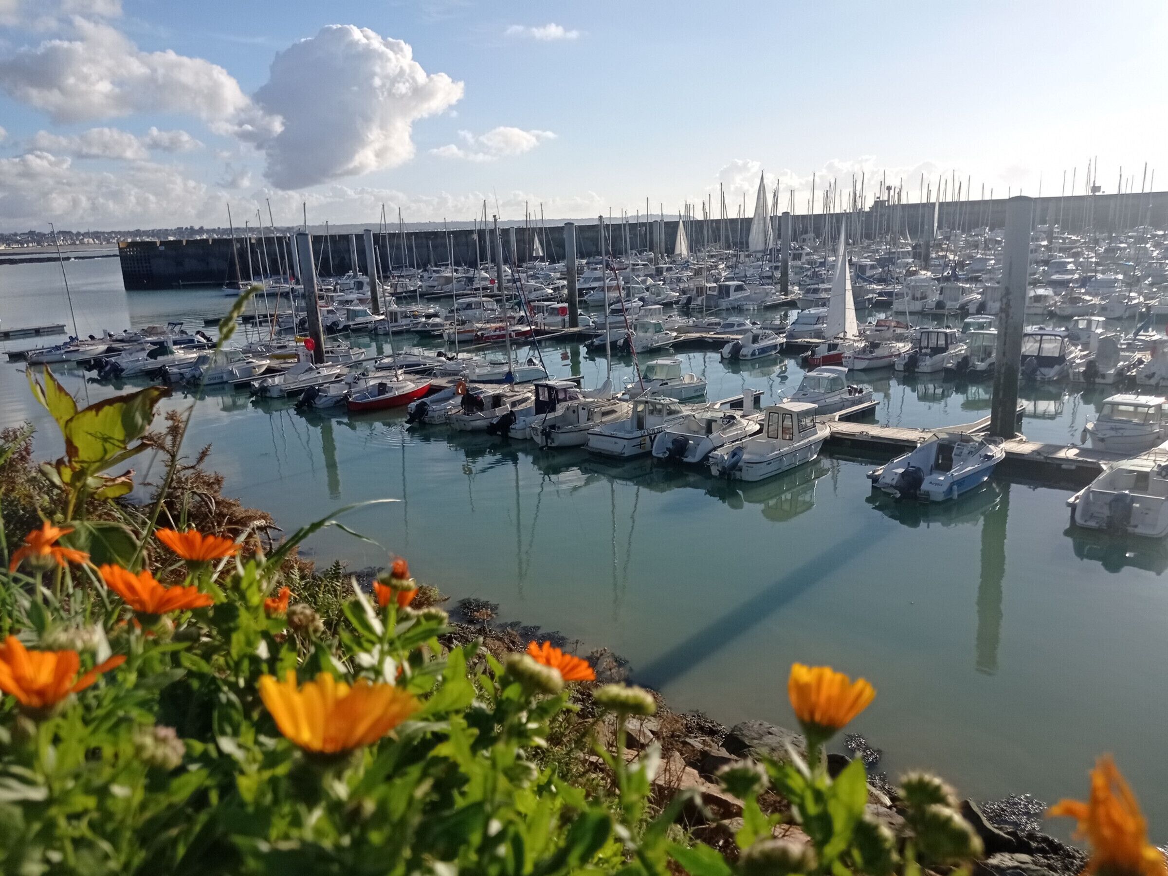 Marina