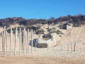 Playa en los alrededores 