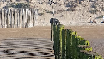 Playa en los alrededores
