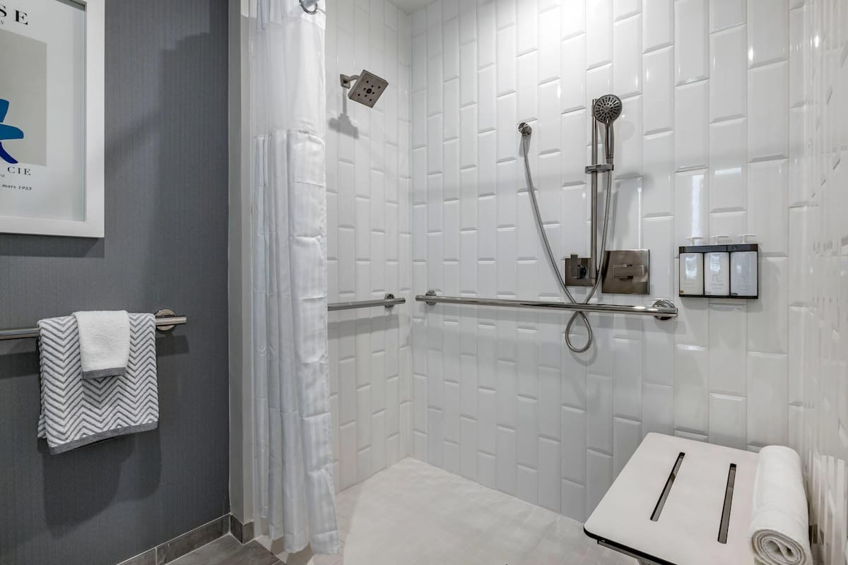 shower, free toiletries, hair dryer, towels