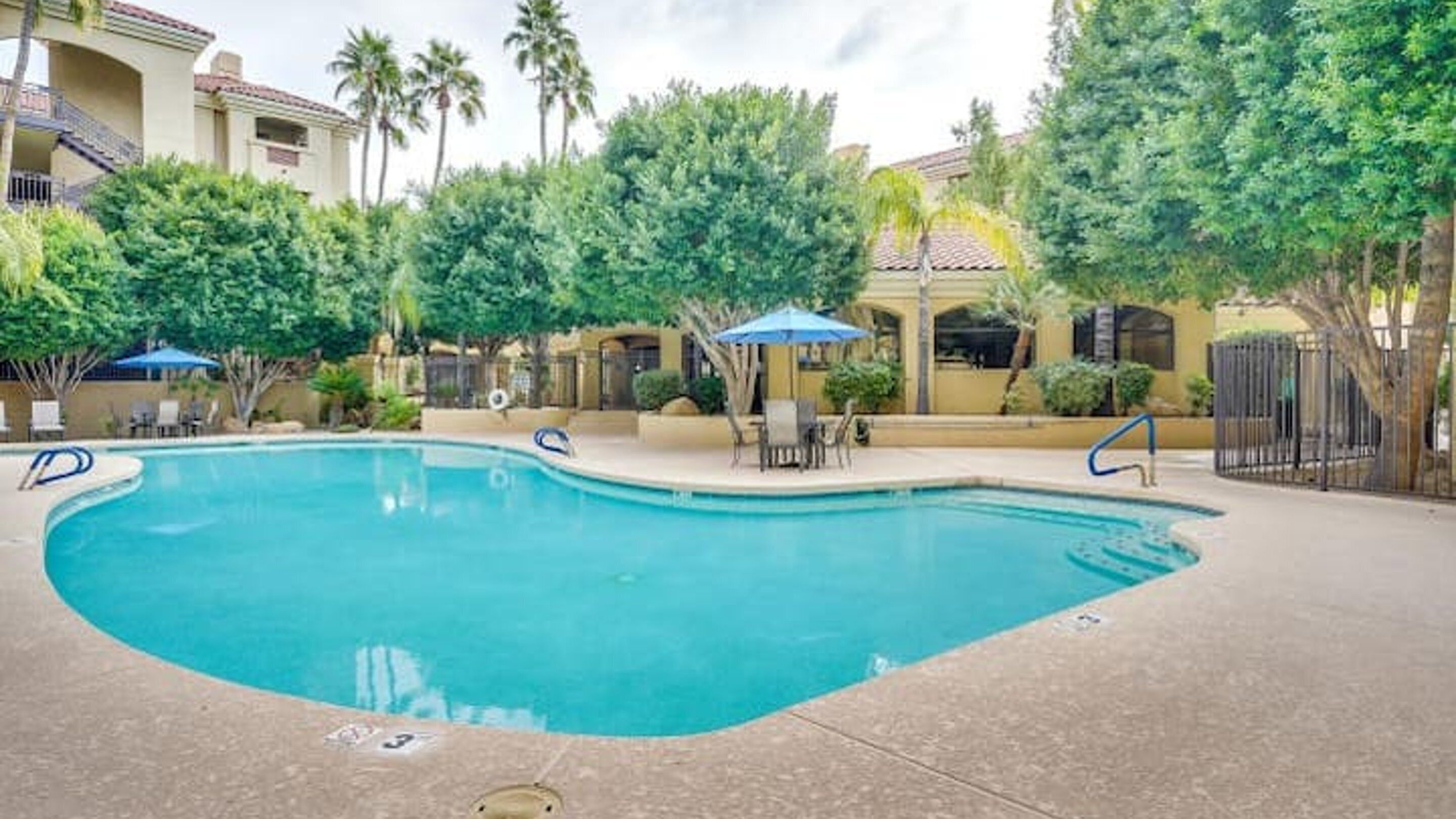 Una piscina de vora corbada, envoltada de palmeres i una zona de pati amb mobiliari d'exterior.