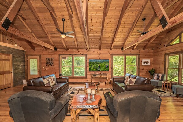 TV, fireplace, video games, DVD player