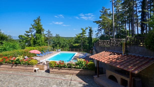 A swimming pool with lounge chairs, surrounded by greenery and a pergola.