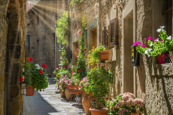 A narrow alley with potted plants and flowers along the walls, stone buildings, and a cobblestone path.