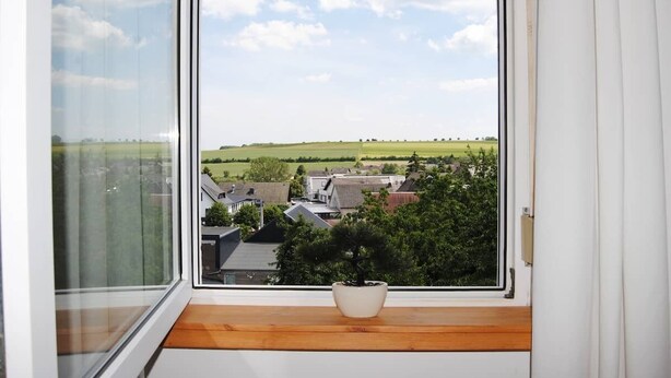 A window with a view of a rural landscape, a potted plant on a wooden ledge, and a white door frame.