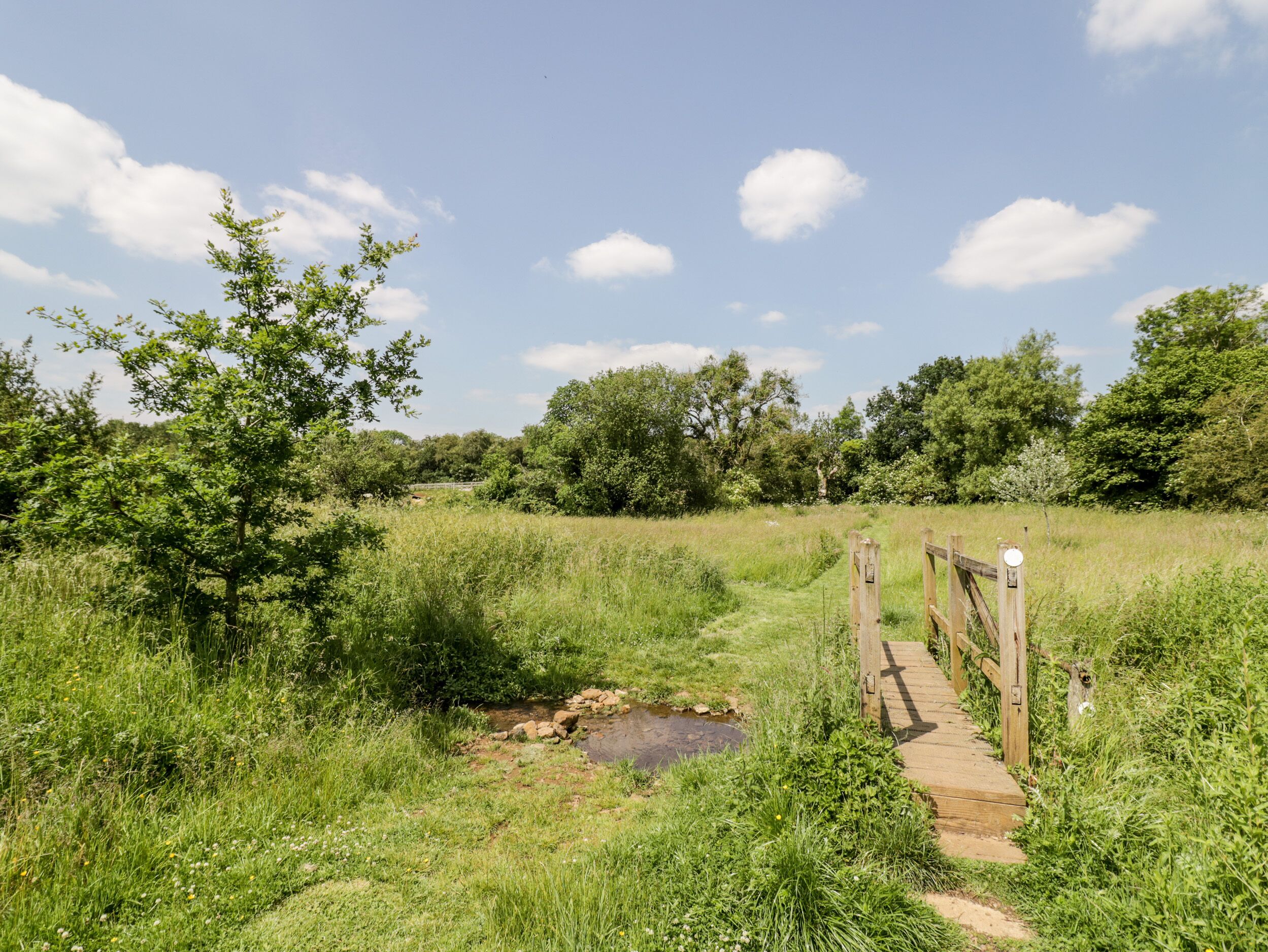 Een houten bruggetje over een beekje in een grasveld, met bomen op de achtergrond.