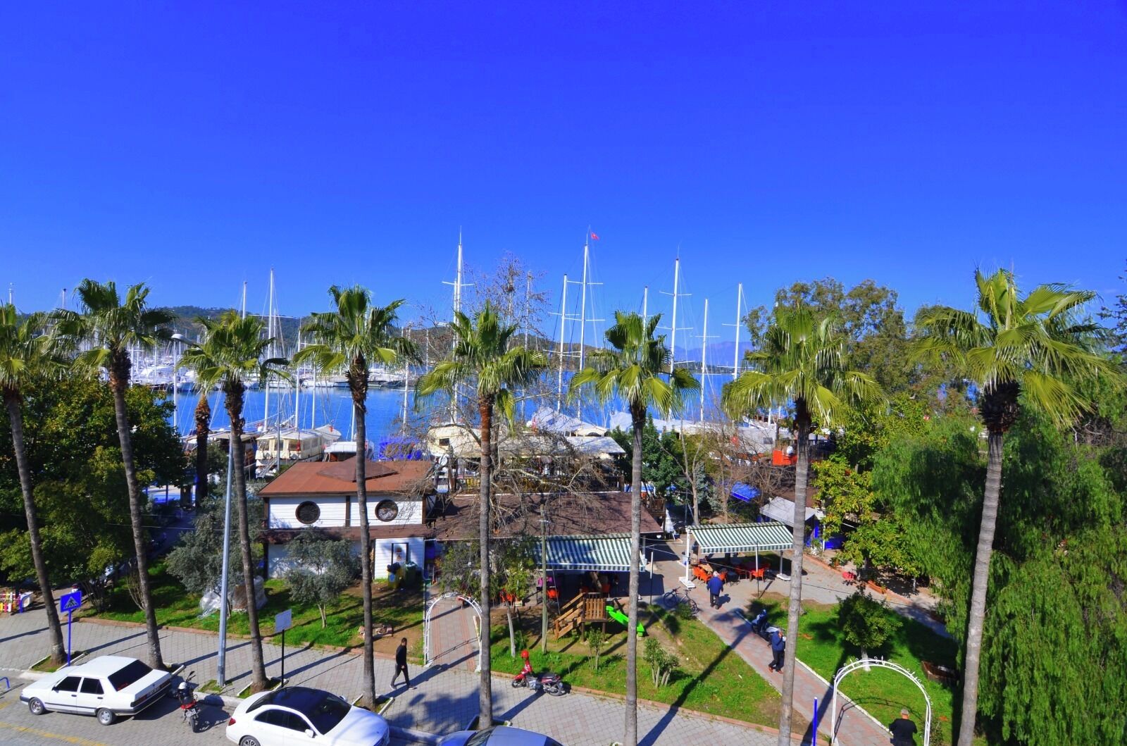 A marina with boats, palm trees, and a clear blue sky.