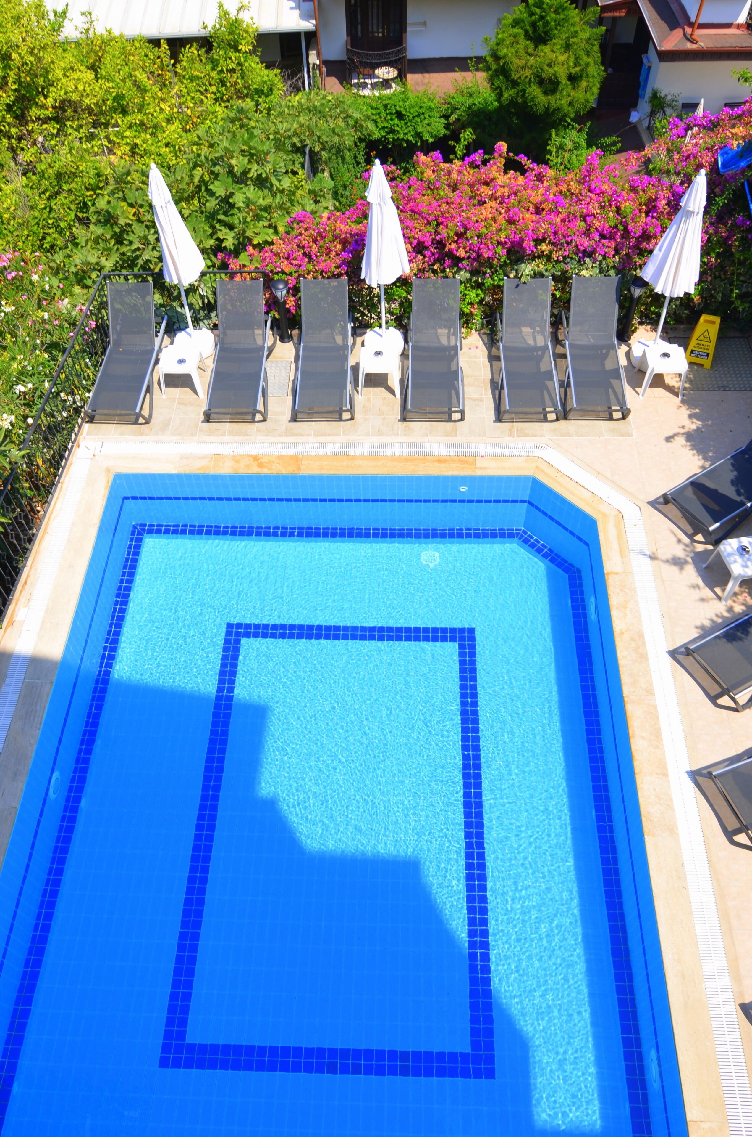 Una piscina con azulejos azules, rodeada de sillones de playa y sombrillas, con follaje y flores al fondo.