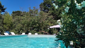 A swimming pool with clear blue water, surrounded by lush greenery and white lounge chairs.