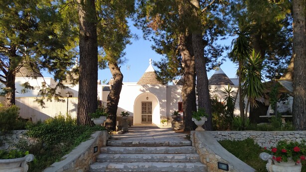 A stone staircase leading to a building with a dome roof, surrounded by trees and potted plants.