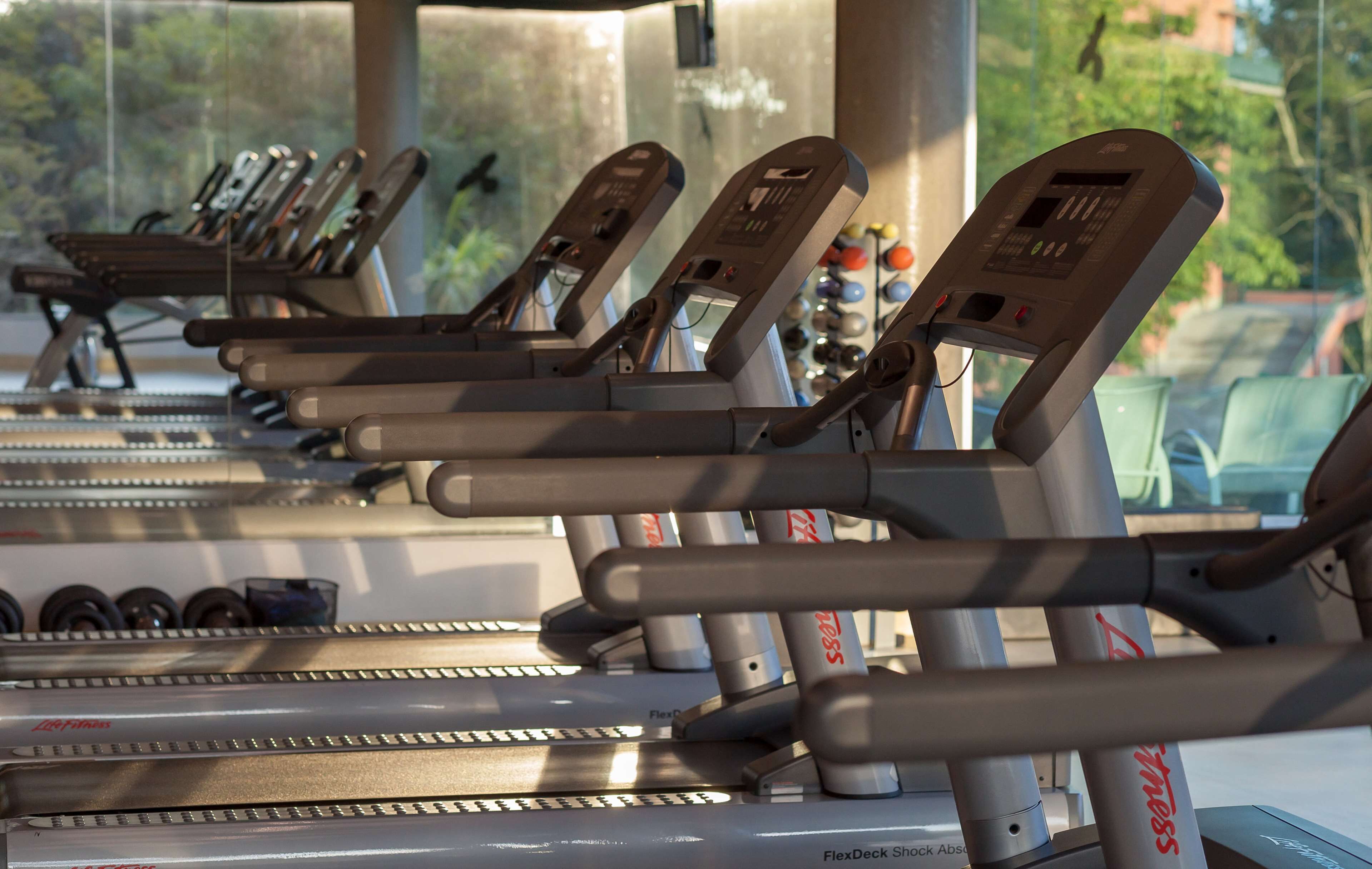 A row of stationary exercise bikes with digital displays, arranged in a gym with large windows.