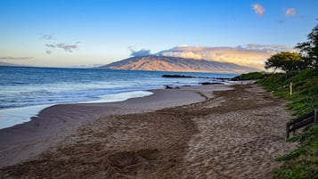 On the beach, sun-loungers, beach towels